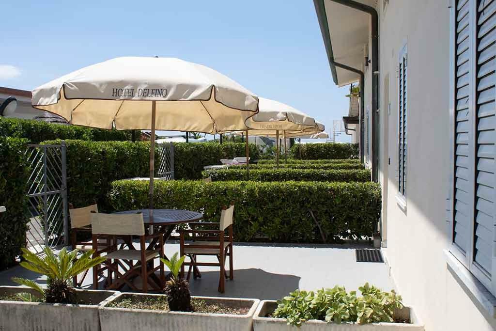 Hotel Delfino มารีนาดีคาร์รารา ภายนอก รูปภาพ